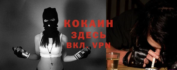 apvp Михайлов