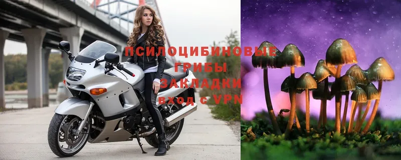 Галлюциногенные грибы Cubensis  как найти закладки  Кизел 