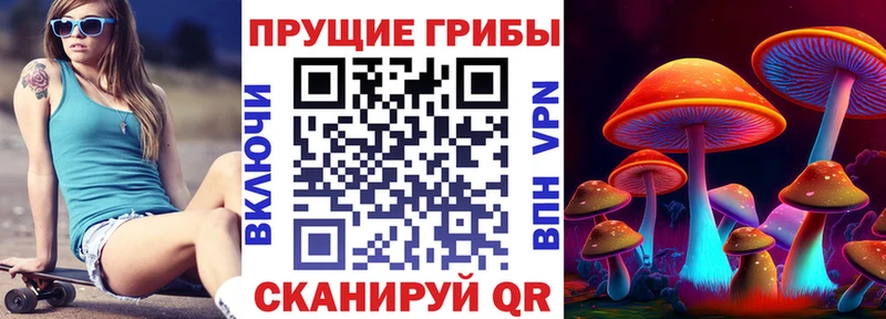 mega как зайти  Кизел  Псилоцибиновые грибы Psilocybe 
