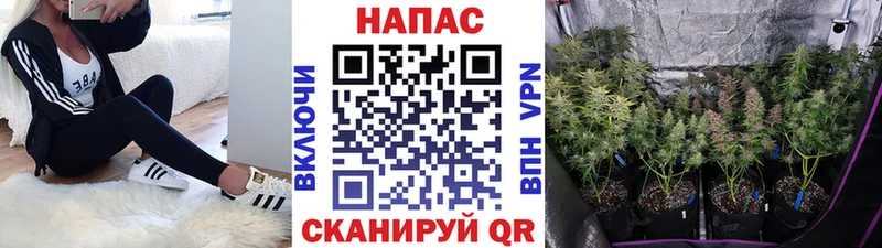 Бошки Шишки ГИДРОПОН  Кизел 